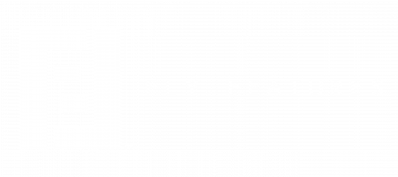Fly Features Inc